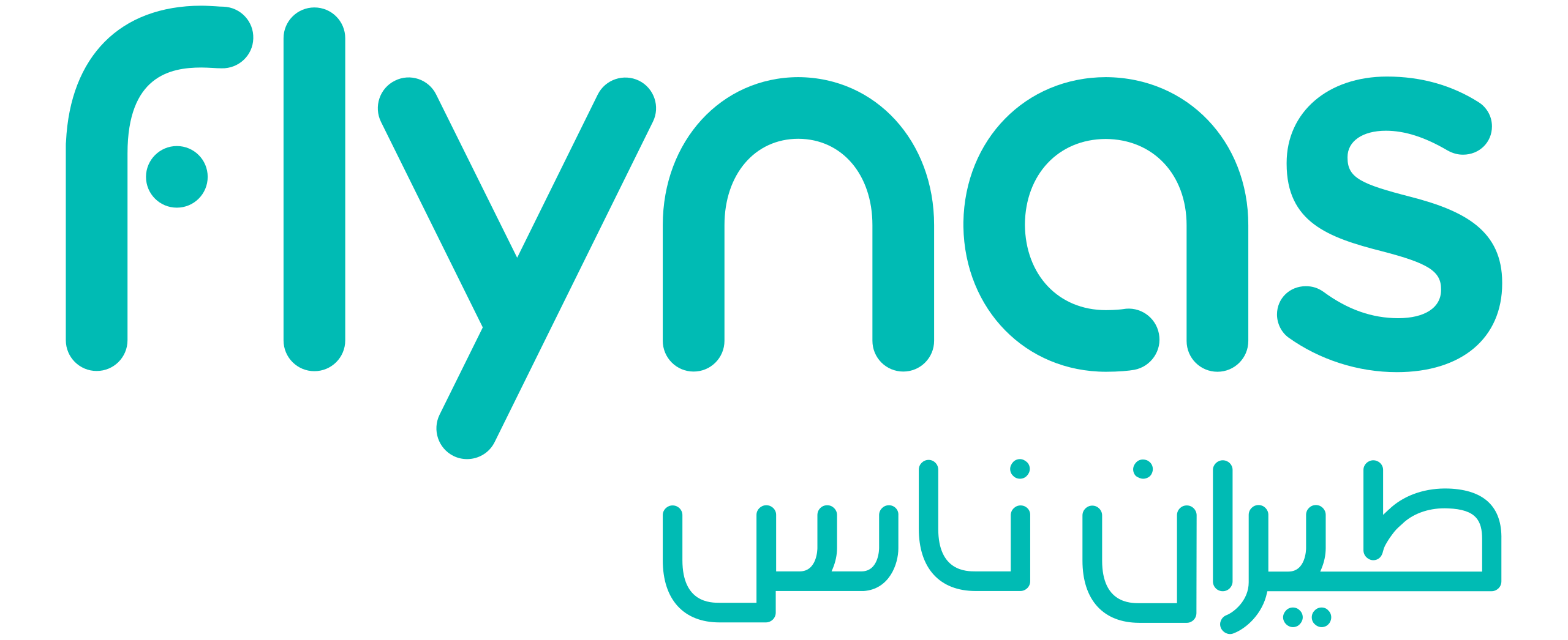 Fly Nas